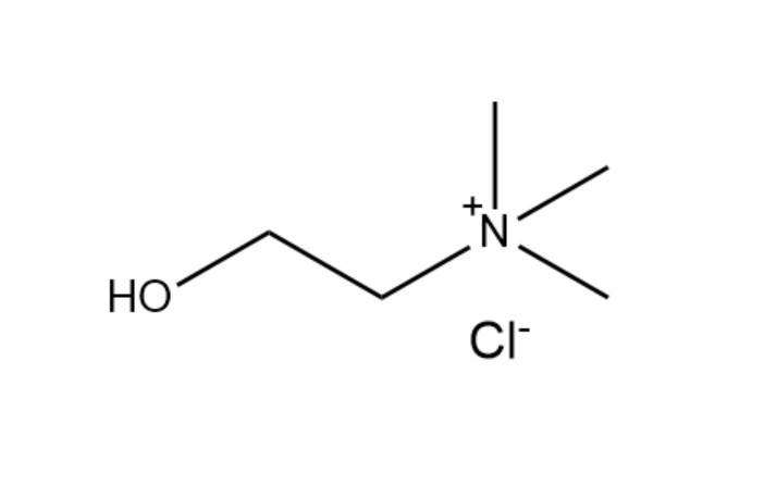 overview of choline chloride