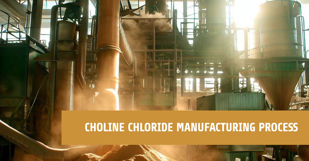 Choline Chloride Manufacturing Process