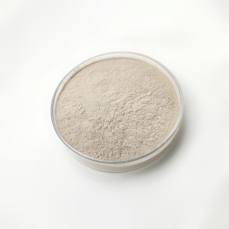 Benefits of Yeast for Chickens