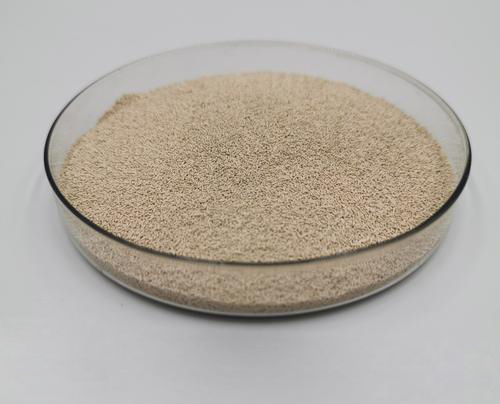 yeast