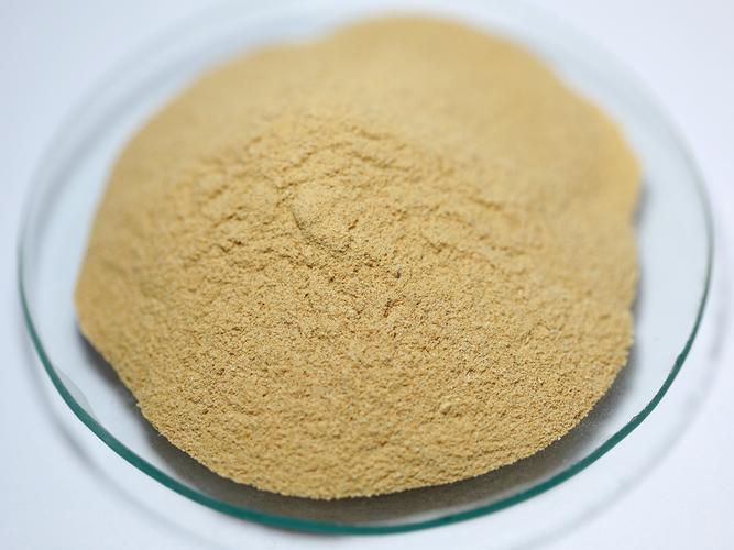 yeast